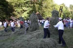 V DEŽELI OSTRNIC - Tekmovanje v zdevanju ostrnic