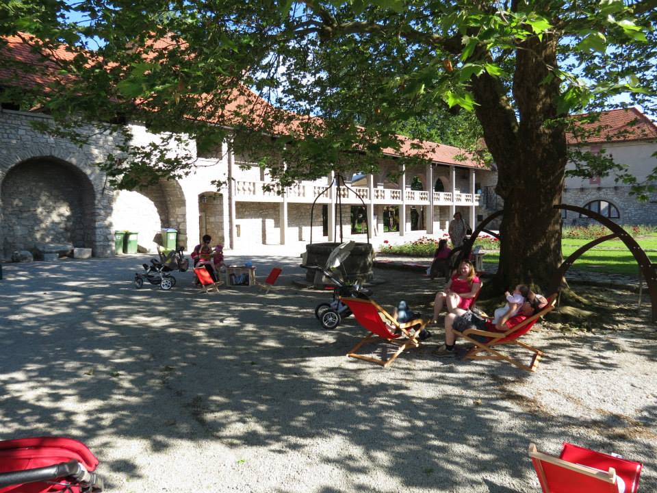 Knjižnica pod krošnjami 2014, Ribnica (foto: miklovahisa.si)