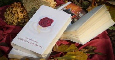 Knjiga Ljubezen premaga vse avtorjev Sto prašičkov poje