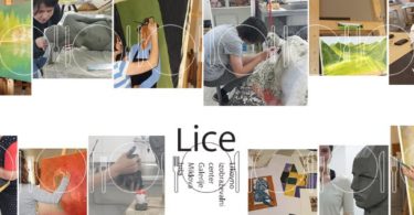Zaključna likovna dela LICE, letnik 2015-2016