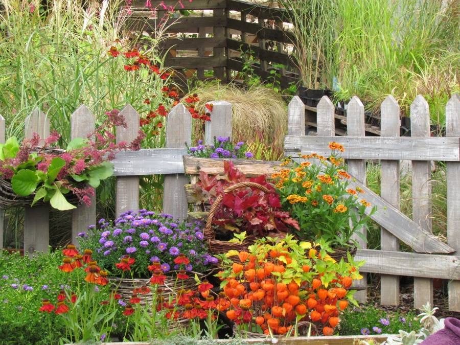 Trajnice Carniola vrtnarija