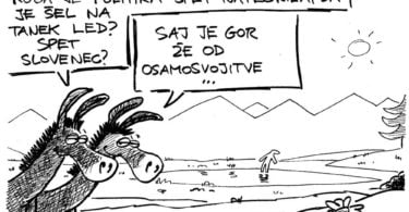 Osel, led in Slovenec