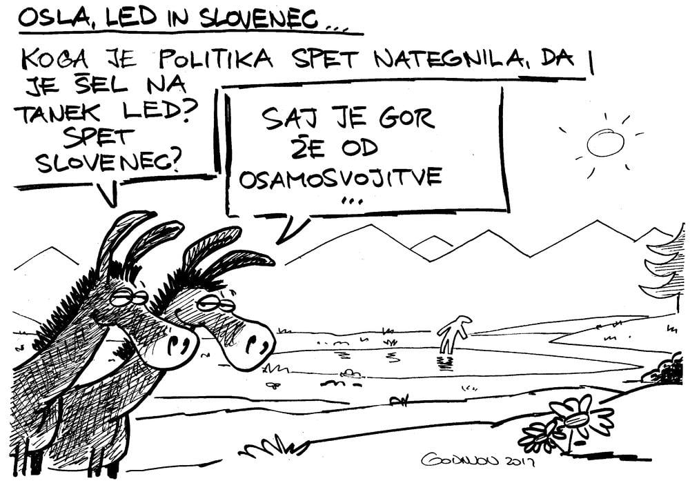 Osel, led in Slovenec