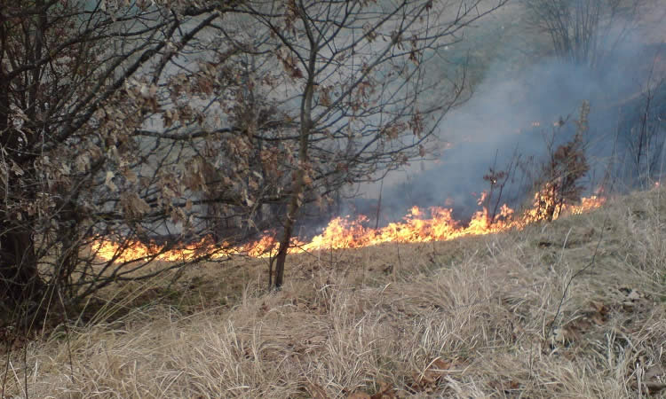 Travniški požar, slika je simbolna