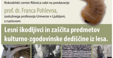 Predavanje Lesni škodljivci in zaščita predmetov kulturno-zgodovinske dediščine iz lesa