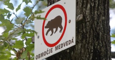 Opozorilna tabla za medveda (FOTO: Marko Feist)