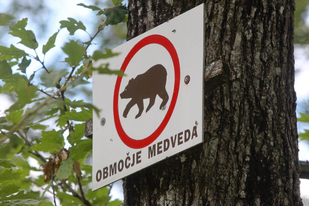 Opozorilna tabla za medveda (FOTO: Marko Feist)